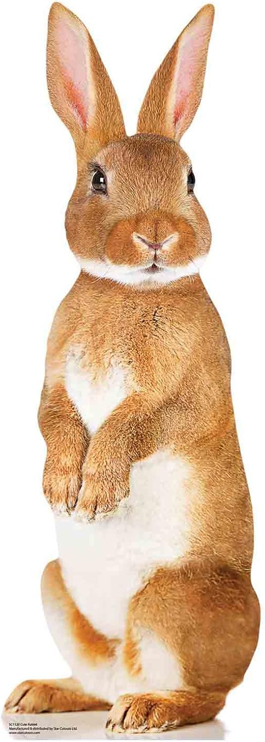STAR CUTOUTS SC1120 Cute Bunny Rabbit Cardboard Cutout Perfect for Animal Parties and Pets Fans and Collectors 90cm Tall, Multicolour