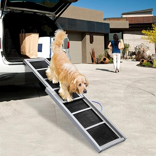 small dog ramp