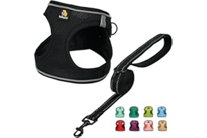 BELLA & PAL Puppy Harness with Leash Set, Dog Harness for Small Dogs No Pull, Dog Leash for Puupy, Step in Harness for Extra 