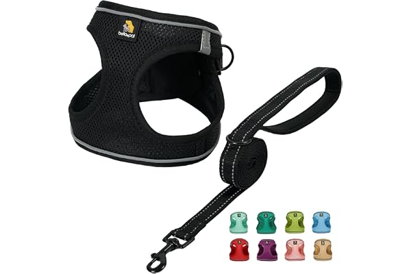 BELLA & PAL Puppy Harness with Leash Set, Dog Harness for Small Dogs No Pull, Dog Leash for Puupy, Step in Harness for Extra