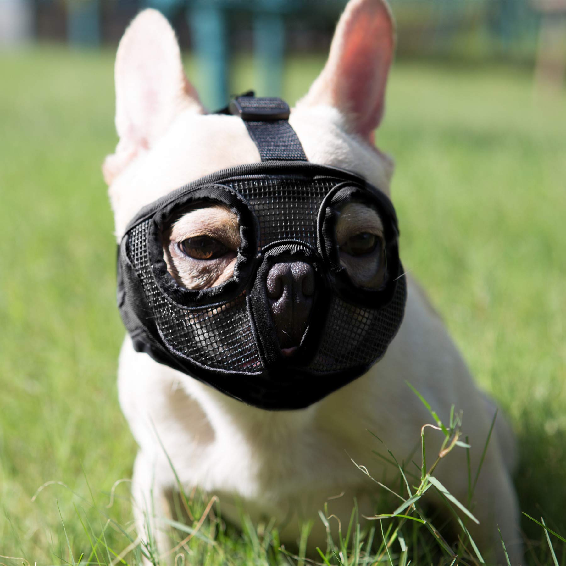 Short Snout Dog Muzzles- Bulldog Muzzle Breathable Mesh Dog Mask for Biting Chewing Training Licking Grooming (Black, Medium(28-43cm))