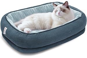 Miguel Orthopedic Cat Beds for Indoor Cats, Egg-Crate Memory Foam Pet Sofa with Bolster Sides, Oval Crate Bed, Washable Removable Cover & Non-Slip Bottom, Haze Blue