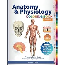 The Physiology Coloring Book : Kapit, Wynn, Macey, Robert, Meisami