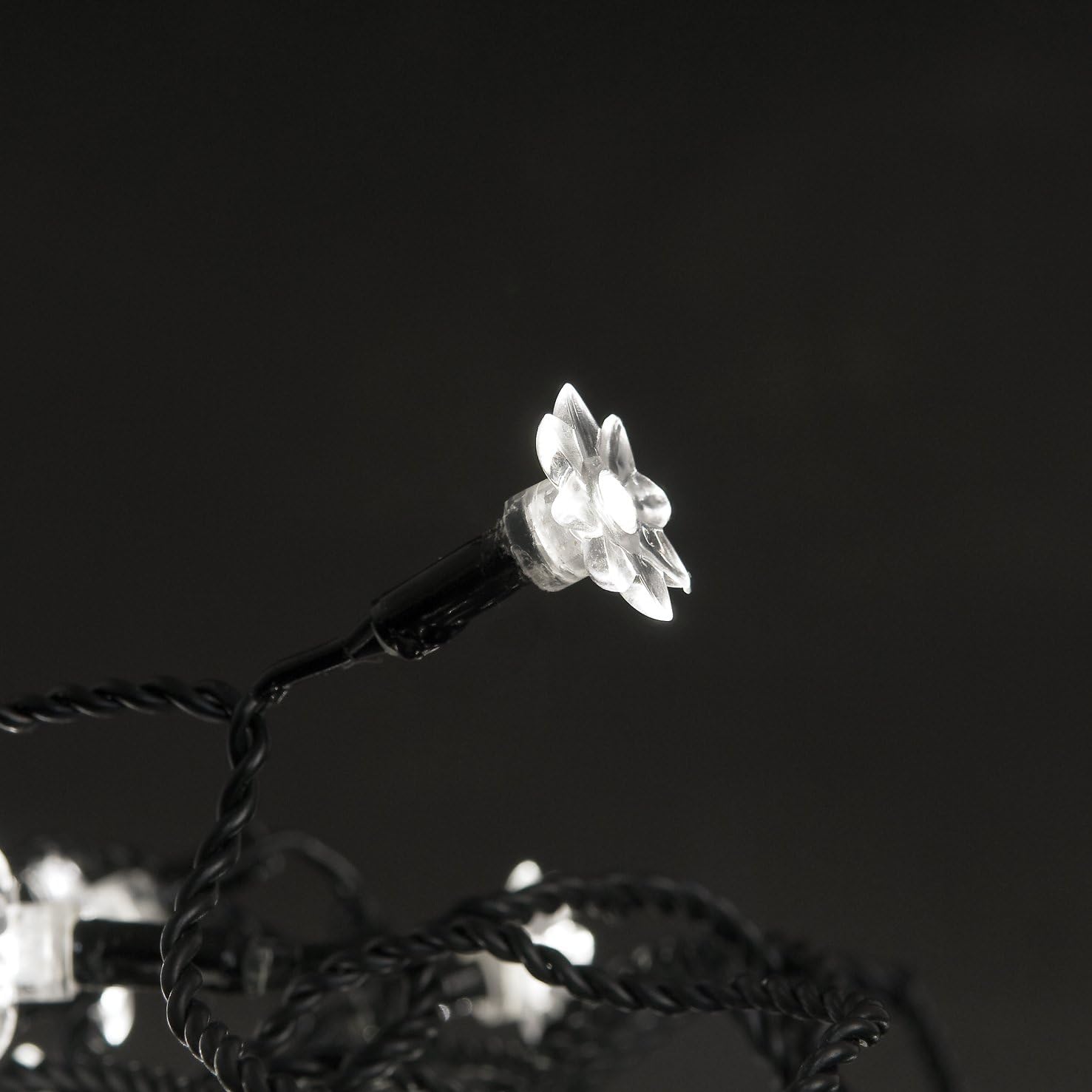 Konstsmide 3660-100 Micro-LED Light Set/For Outdoor or Indoor Use / 40 Plastic Flower Decorations/Warm White Diodes/Black Cable - Image 4