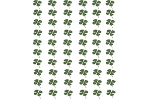 MUCBAFLY Dried Flowers Dried Flower Real Dried Pressed Flowers for Jewelry Candle Card Making DIY Resin Ornaments Nail Art Flowers Decorations (60 Pieces) (Four Leaf Clover)