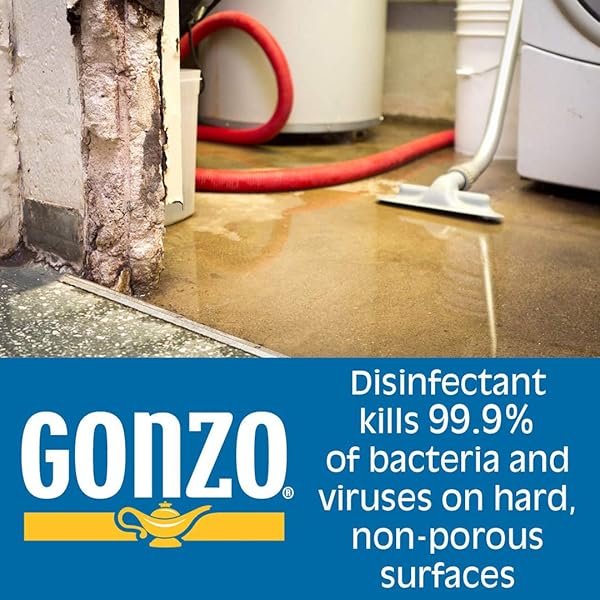 GONZO NATURAL MAGIC DISINFECTANT DISINFECT DEODORIZE AND CLEAN YOUR HOME, CITRUS 24 OUNCE, OUNCE, CITRUS, 24 FL OZ