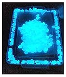 JOSDIOX Grow in The Dark Pebbles Garden Pebbles