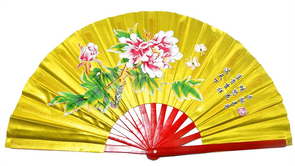 Medifier Chinese Kung Fu Tai Chi Fan Arts Dance/Practice Performance Bamboo Folding Fan (Golden)