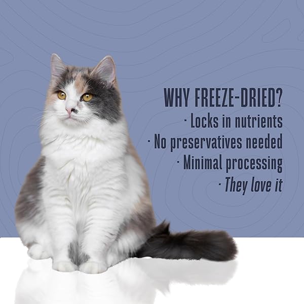 WHOLE LIFE CAT JUST ONE TUNA FREEZE DRIED CAT TREATS – HUMAN GRADE HIGH PROTEIN FOOD, HEALTHY TRAINING SNACKS, FREEZE DRIED TUNA FOOD TOPPERS, USA MADE NATURAL TREATS – 3 OZ (PACK OF 1)