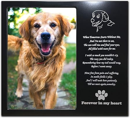 amazon pet memorial