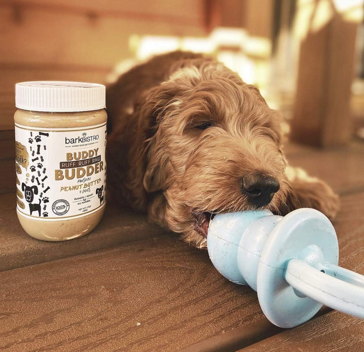 peanut butter making dogs sick