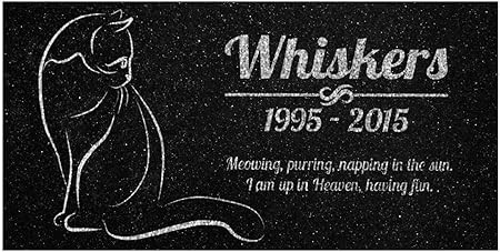 tactical training for dogs