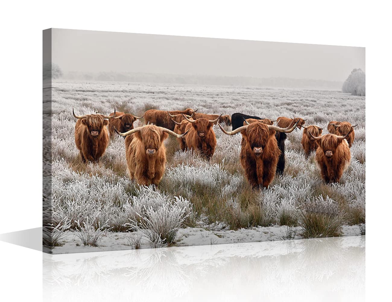 Brown Herd Highland Yak Canvas Printing Rustic Bedroom Decor Retro Cow Wall Art Home Artwork Print Used in Bathroom Office Fireplace Kitchen Dining Room Decorate, 12x8in — image 1