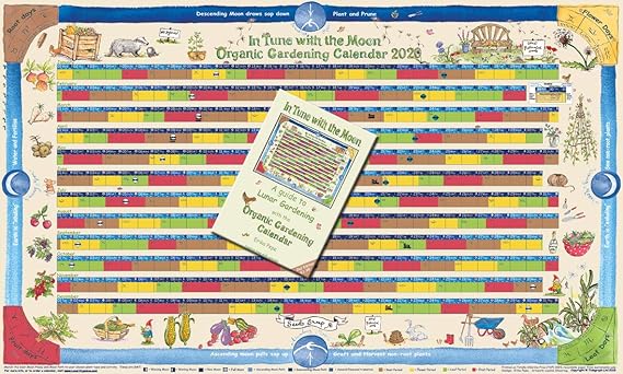 gardening by the moon calendar gardenpicdesign