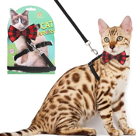 amazon cat leash
