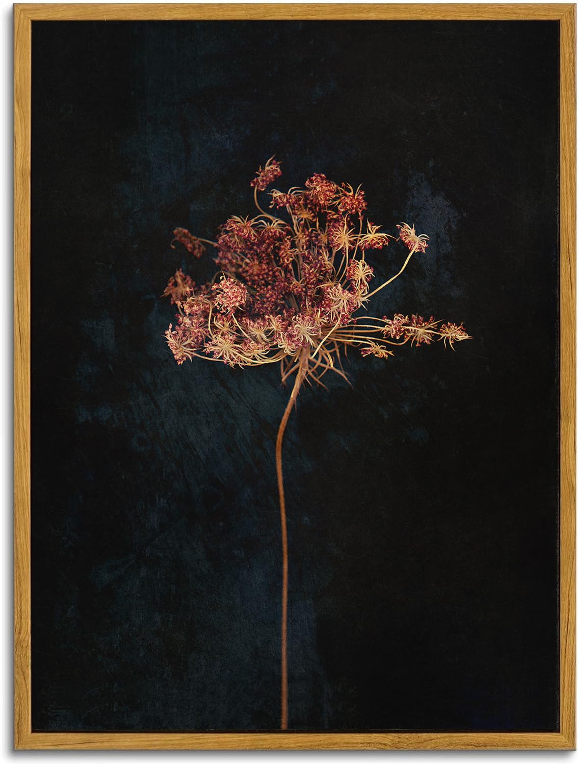 Photo 1 of ***DAMAGED - SEE NOTES/PICTURES*** KBKBART Framed Vintage Wall Art Prints, Retro Moody Floral Botanical Canvas Painting Farmhouse Decor, Black Dark Classical Flower Framed Canvas Wall Art for Bathroom, Bedroom, Living Room(11"x14")