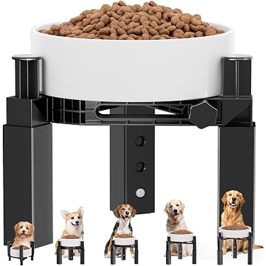 Amazon Best Sellers: Best Dog Raised Bowls