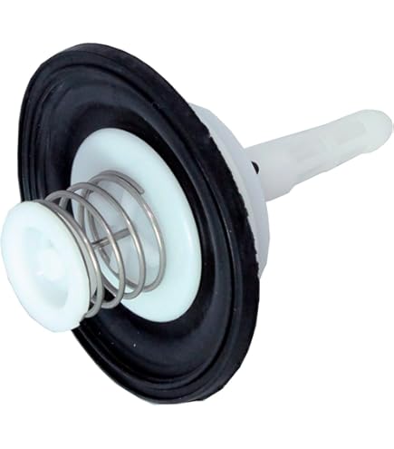 ジョーウェルコバルト6700 Amazon.com : Jobe Valves Detach Short Tail, 1