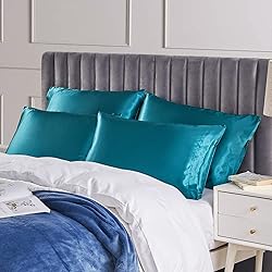 EHEYCIGA Satin King Pillow Cases Set of 2, Soft