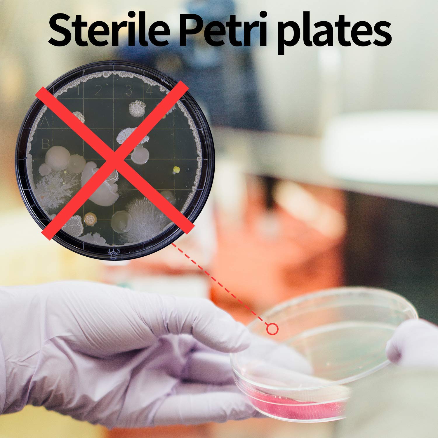 Piastre Di Petri 20 Sterilizzate 100x15 Mm Con Coperchio - Polistirolo, Per Laboratorio O Colture Set Piatti In Melamina - Foto 13