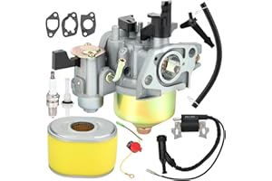 Dalom GX160 Carburetor for Honda GX 160 GX200 GX 200 5.5 HP 5HP 6.5HP 5.5HP Replace 16100-ZH8-W51 16100-ZH8-W61 Engine with Ignition Coil 17210-ZE1-505 Air Filter