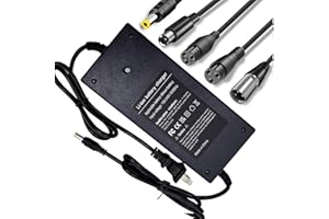 YAREMYEYE (5 Plugs) 29.4V 2A Fast Battery Charger Universal for 24V 25.2V 25.9V Lithium Battery Electric Scooter Replacement Charger - 5 in1 Plugs