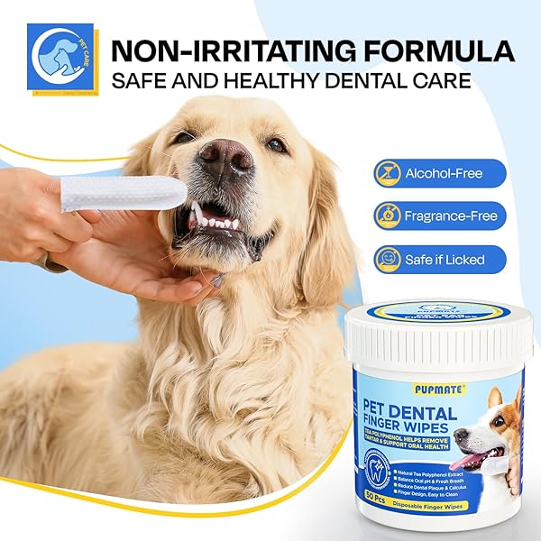 PUPMATE DENTAL CARE WIPES FOR DOG & CAT- TEETH CLEANING FINGER WIPES FOR PLAQUE AND TARTAR REMOVAL, SAFE & GENTLE DISPOSABLE TOOTHBRUSH WIPES FOR FRESH BREATH & GUM CARE – 50 PCS
