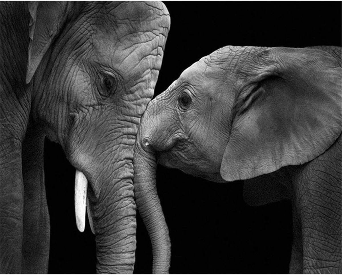 Shukqueen Paint by Number, DIY Oil Painting for Adults Beginner's, 16X20 Inch, Frameless, Elephants, Frameless-16"x20"(40x50cm)