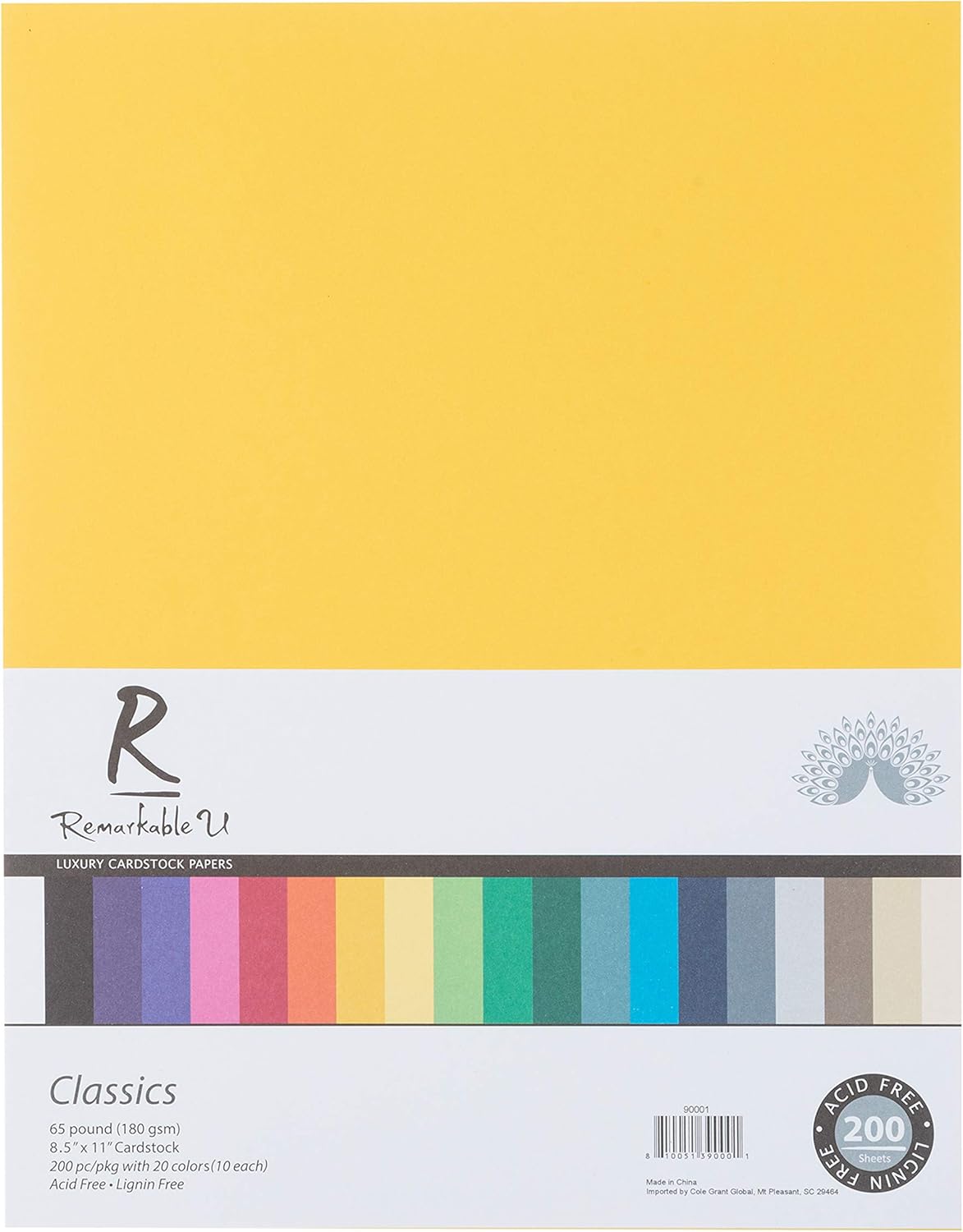 Premium Colored Cardstock Paper 8.5” x 11”, Assorted Classic Colors | 65lb Smooth Texture | Solid Core Card Stock for Crafts and Scrapbooking | 200 Sheets : Office Products