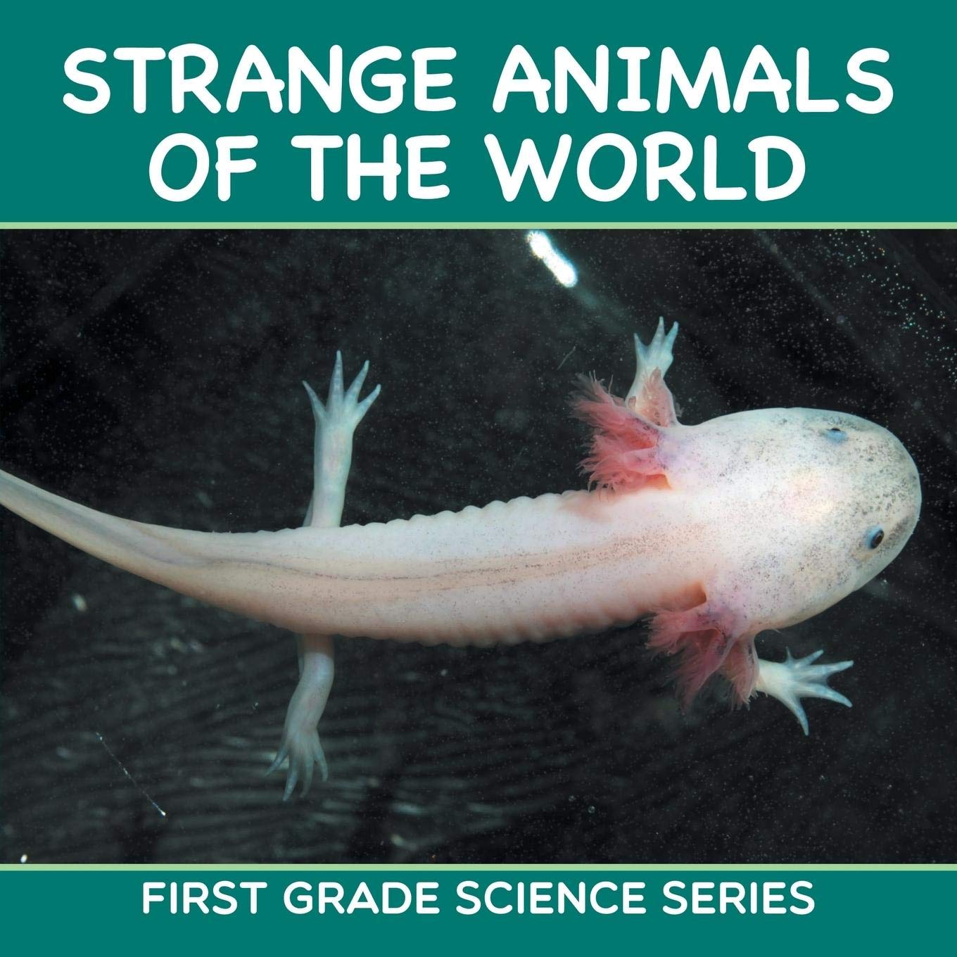 Strange Animals Of The World First Grade Science Series Professor Baby Amazon Com Books