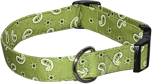 petite dog collars