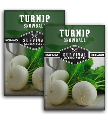 Amazon.com : Turnip Seeds - Tokyo Cross - Hybrid -1 g Packet ~324