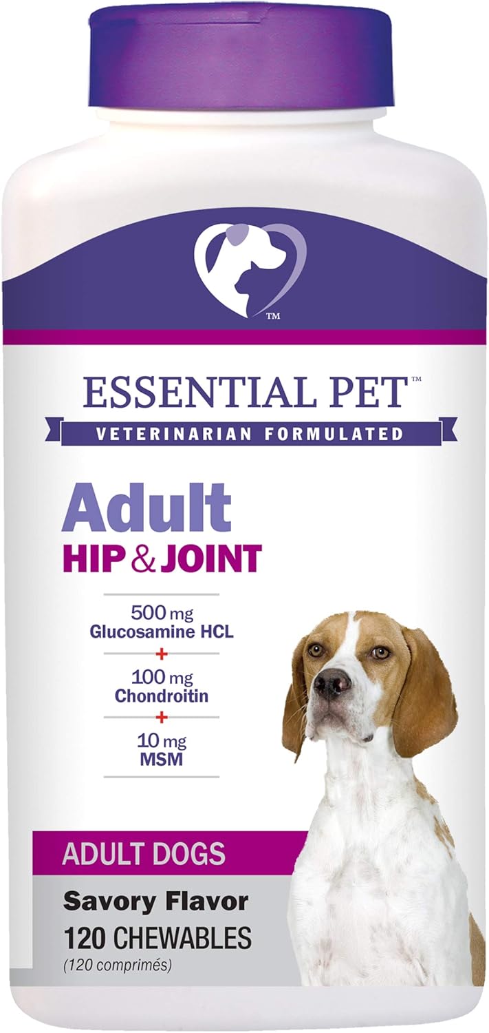 chewable glucosamine chondroitin for dogs