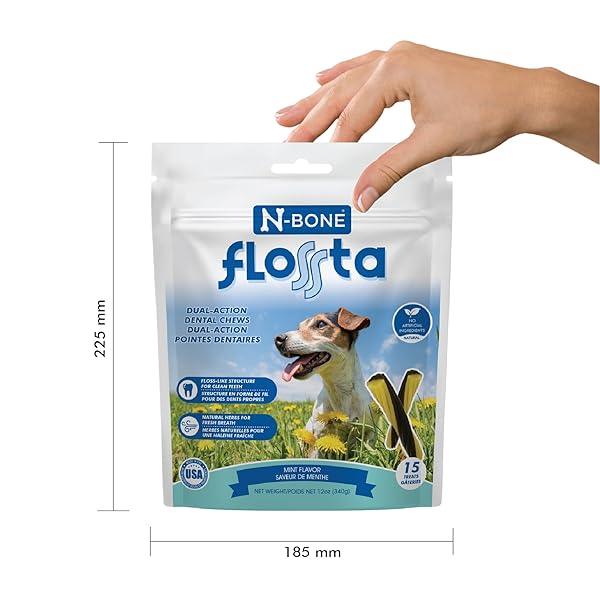 N-BONE FLOSSTA DUAL ACTION DENTAL CHEWS MINT FLAVOR, 6.4-OZ BAG