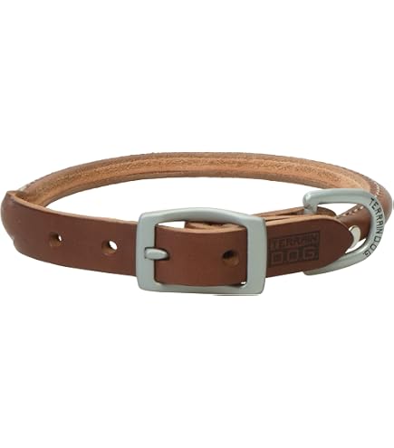 Amazon.com : Coastal Pet - Circle T - Latigo Leather Round Dog