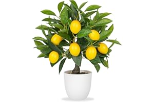 OAIRSE Artificial Potted Plants 15.7 inches Fake Lemon Tree Artificial Lemons Citrus Tree with White Pot Faux Plants Indoor for Home,Office, Living Room Table, Desk