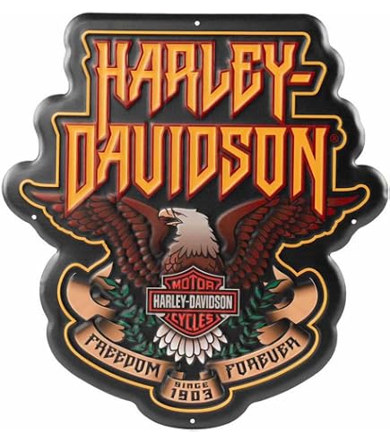 Amazon.com: Harley-Davidson Vintage Iron Bar & Shield Embossed Tin