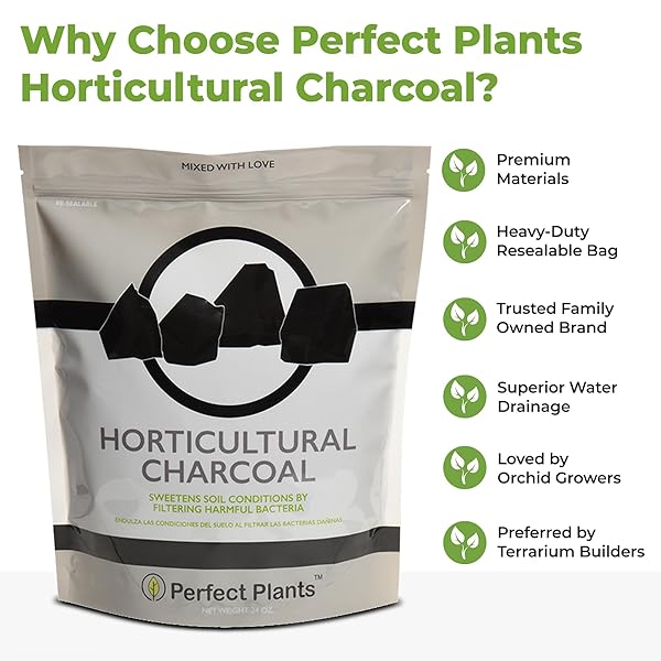 HORTICULTURAL CHARCOAL BY PERFECT PLANTS -4QTS OF PLANT CHARCOAL – NATURALLY CLEANSES, FLUSHES TOXINS AND EXCESS MOISTURE FROM CONTAINERS AND TERRARIUMS