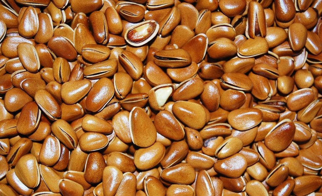 Shelled roasted pine nuts 1700 grams Grade A from Northeast China
