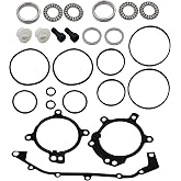 Dual Vanos Anti Rattle + O-Ring Seal Repair Kit Compatible with 1998-2006 BMW 330Ci X5 X3 325i 525i Z3 Z4