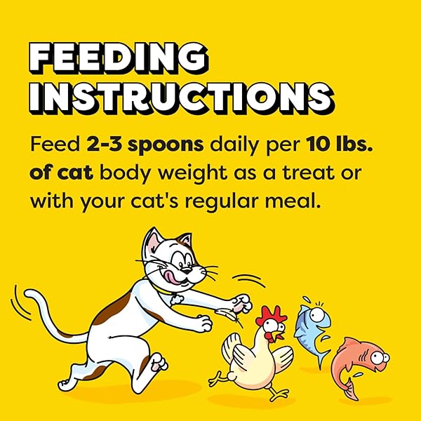 TEMPTATIONS LICKABLE SPOONS, SOFT LICKABLE CAT TREATS, ADULT WET CAT TREATS, VARIETY PACK, 24 SPOONS