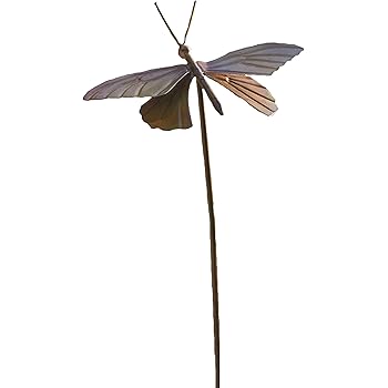 Amazon.com : Ancient Graffiti Flamed Copper Dragonfly Garden Ornament