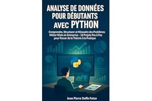 Analyse de Données pour Débutants avec Python: Comprendre, Structurer et Résoudre des Problèmes Métier Réels en Entreprise — 