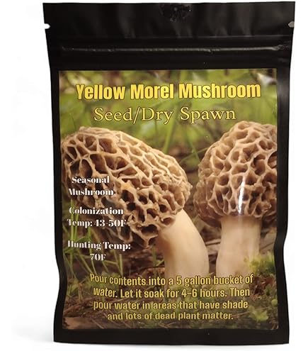 mushroom　0120 Amazon.com : North Spore Organic Pink Oyster Mushroom Spray