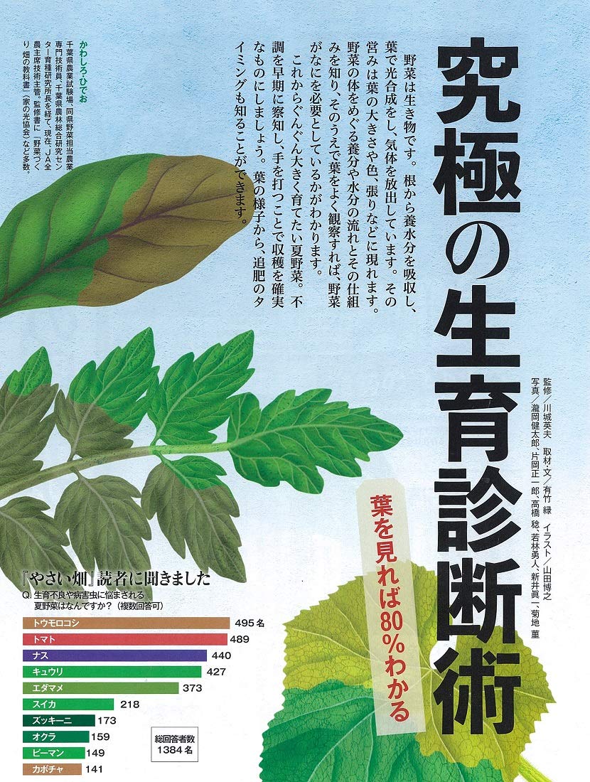 やさい畑 初夏号 年 6月号 本 通販 Amazon