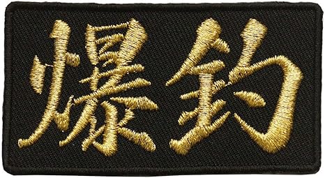 Amazon 文字ワッペン 爆釣 刺繍 アイロン接着 文字ワッペン おもしろワッペン ワッペン アップリケ 通販