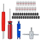 SOKOSEY 56Pcs Valve Stem Removal Tool, Valve