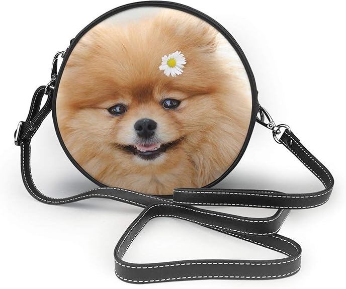 Small Crossbody Bag Pomeranian Dog Printed Purse With Chain Strap For