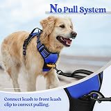 rabbitgoo Large Dog Harness No Pull Reflective Adjustable Blue XL view 6