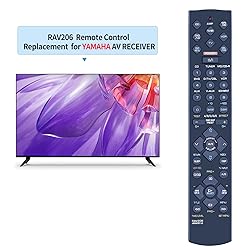 PZL RAV206 V694090US Replacement Remote Control fit